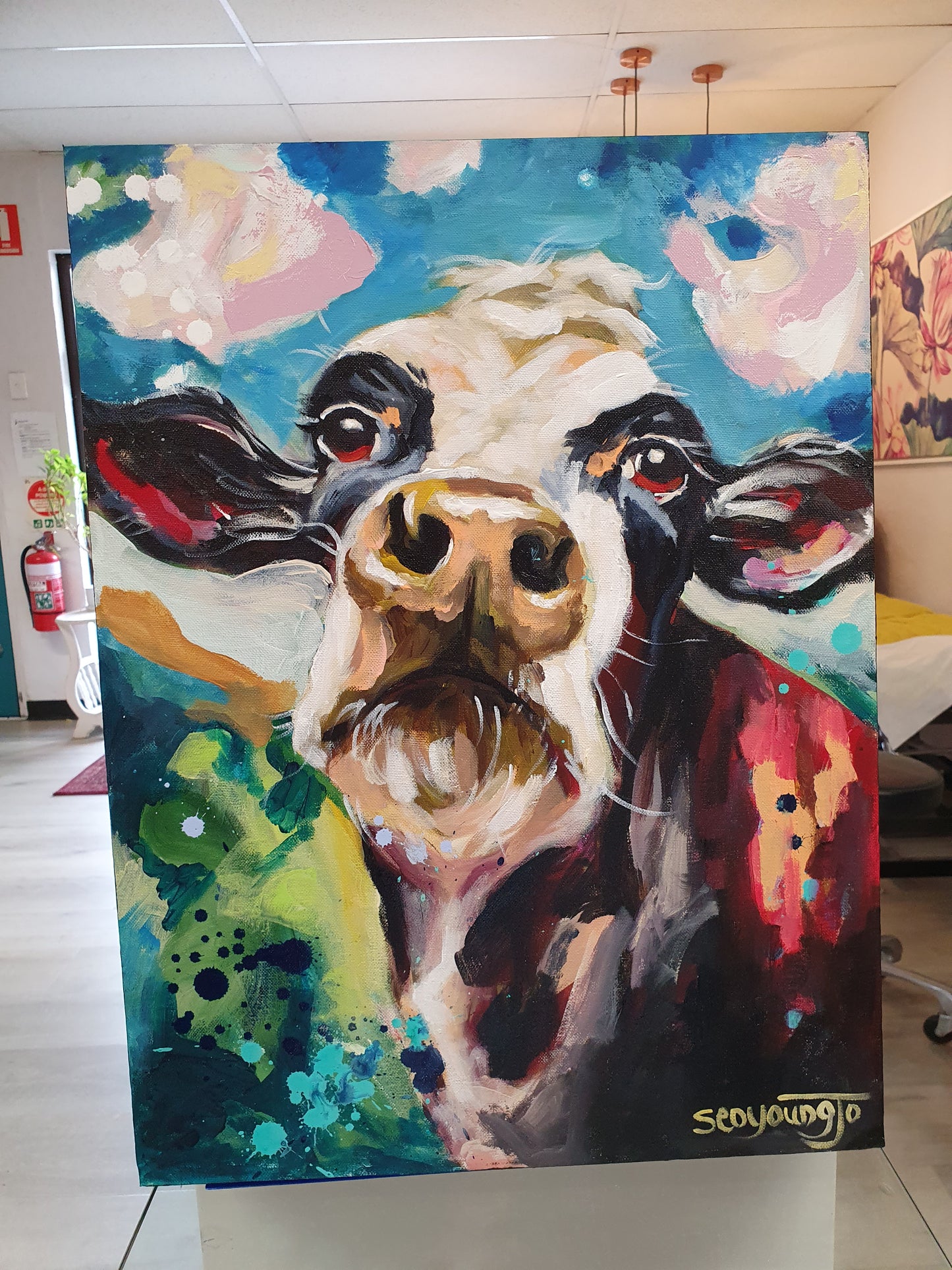 Moo Moo in Hunter Valley II